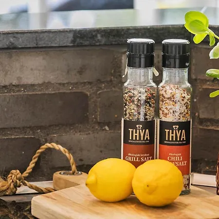 Bv242-blavand-toldbodvej-14-b