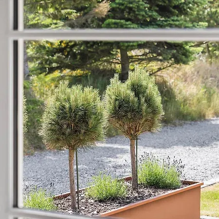 Bv242-blavand-toldbodvej-14-b * Blåvand